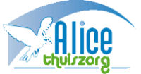 Alice Thuiszorg