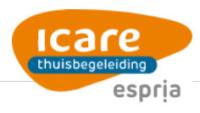 Icare Thuisbegeleiding