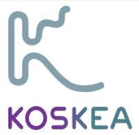 Koskea